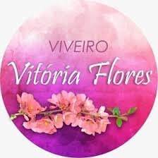 Vitória Flores